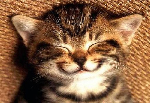 16+ Smile.jpg ماهو PNG
